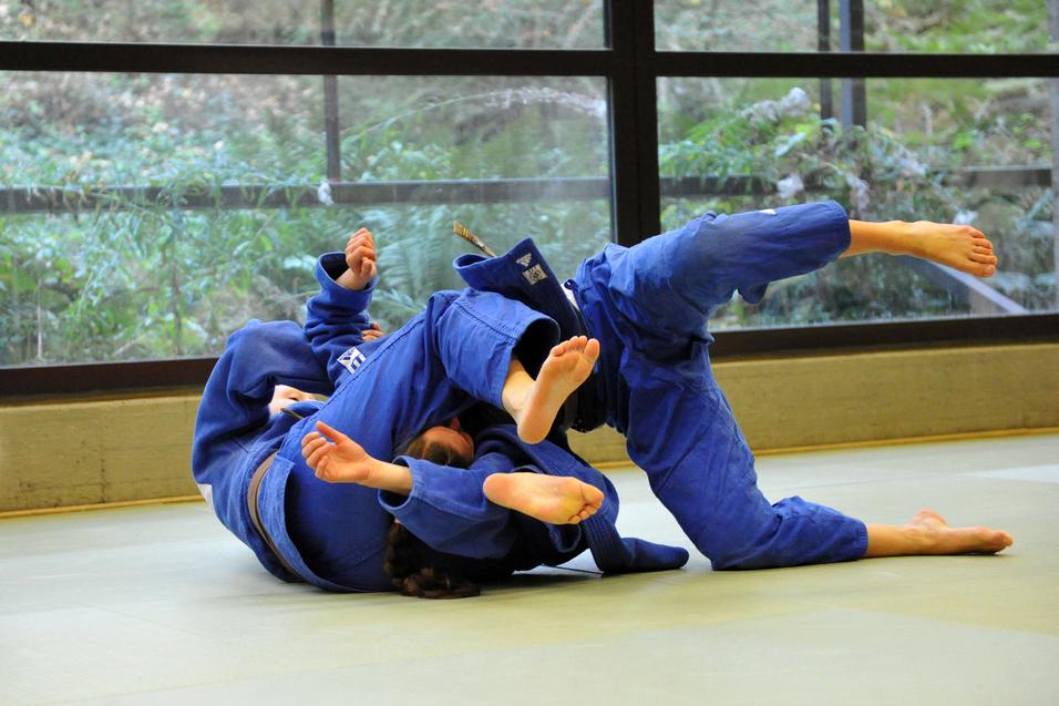 Zwei Judoka in blauer Judokleidung üben einen Bodenkampf auf einer tatami in einem lichtdurchfluteten Raum.